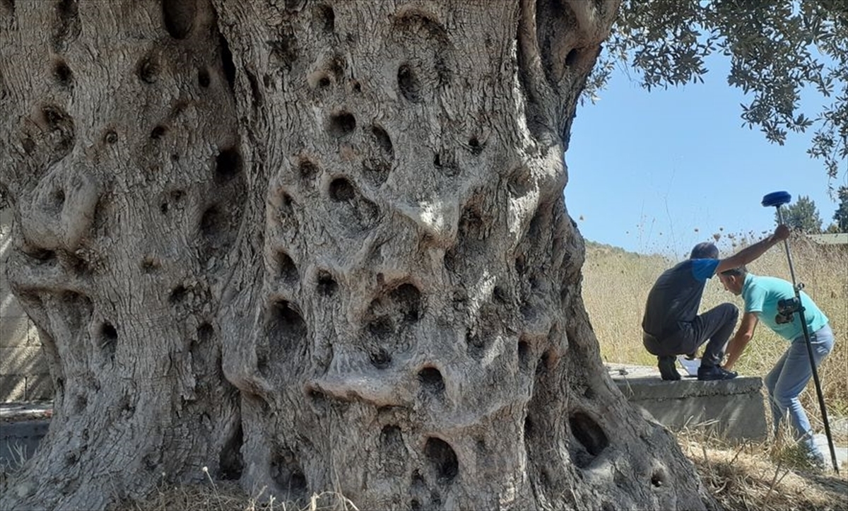 20200820_2_43976149_57546991_Web