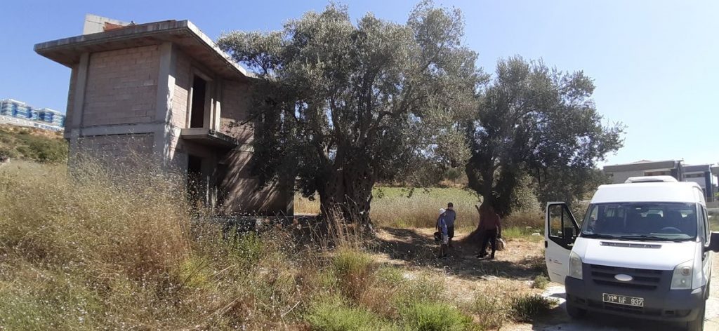 20200820 2 43976149 57546993 Web Aydın'da anıt ağaç tescil başvurusu bulunan ağacın yanına yapılan villaya tepki