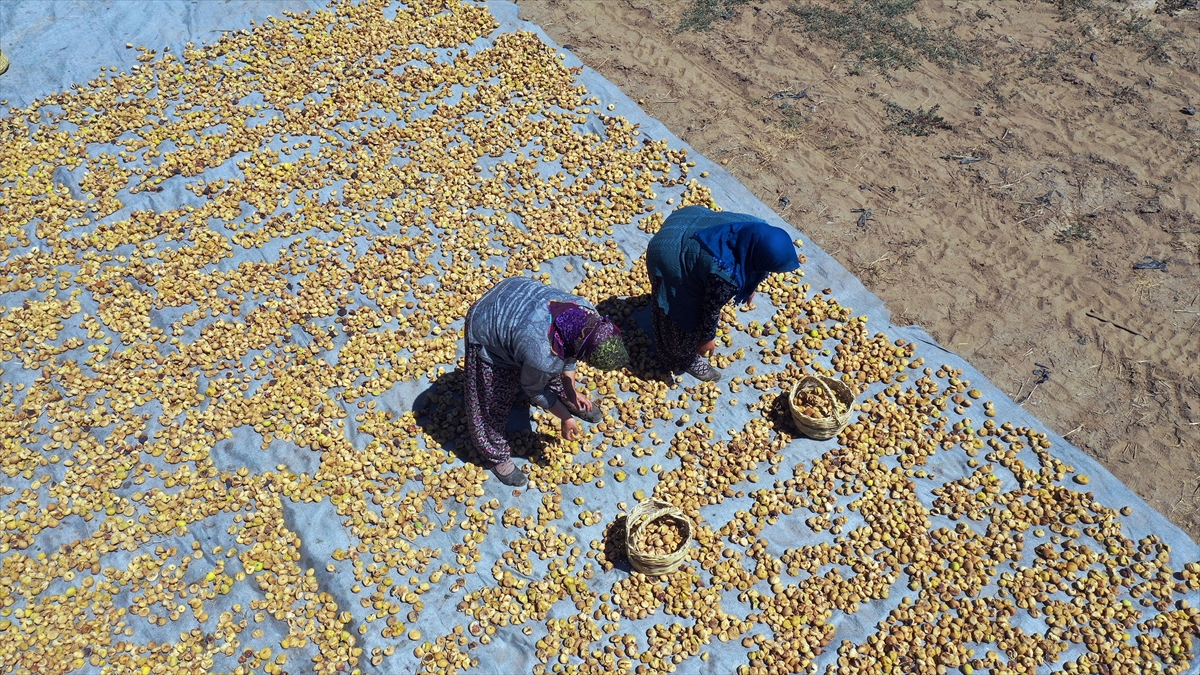 20200822_2_43998843_57577883_Web