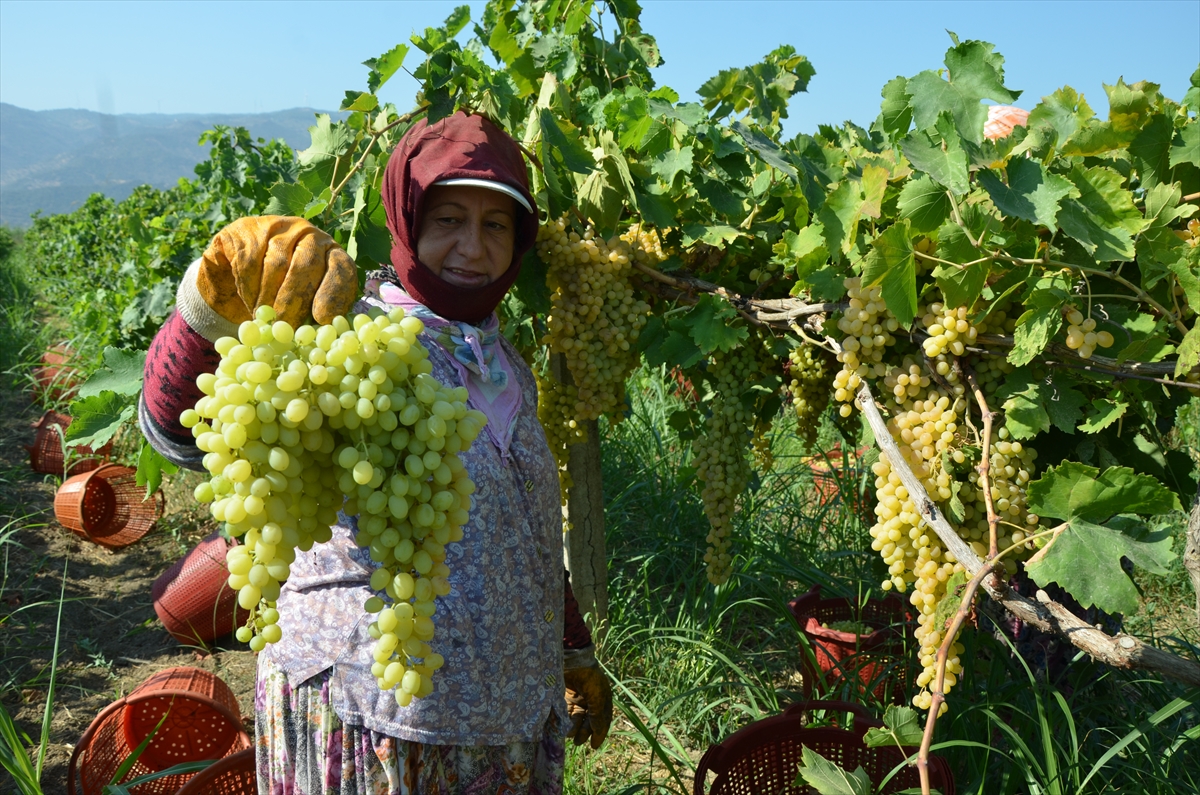 20200825_2_44039747_57652577_Web