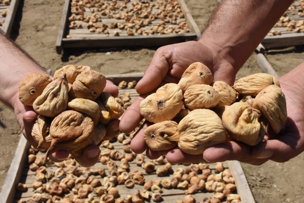 Germencik’de kuru incir hırsızlığına karşı mücadele 1 20200828 2 44094478 57734743 Web Germencik’de kuru incir hırsızlığına karşı mücadele