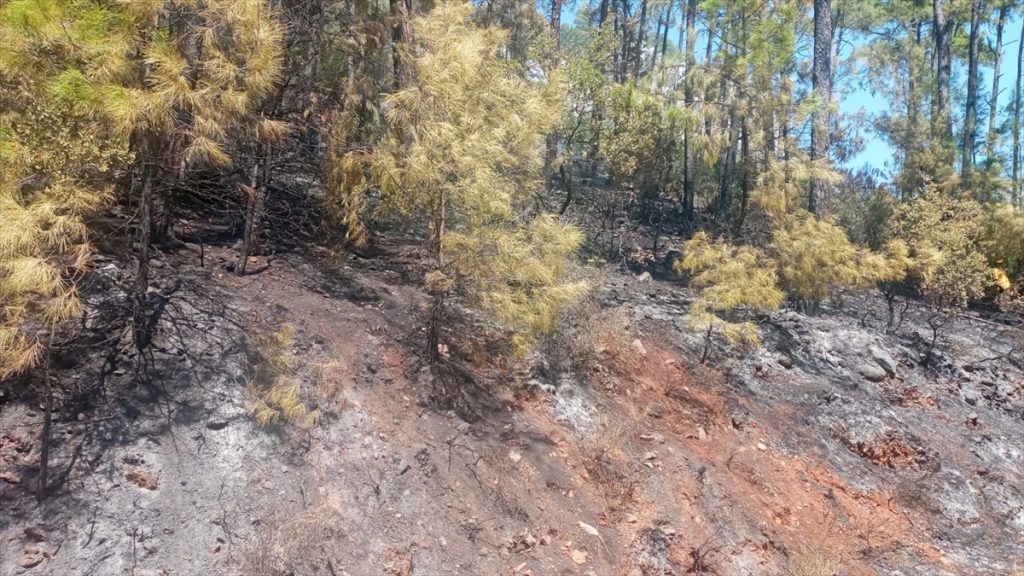 20200829 2 44104487 57749939 Web Marmaris'te çıkan orman yangını kontrol altına alındı