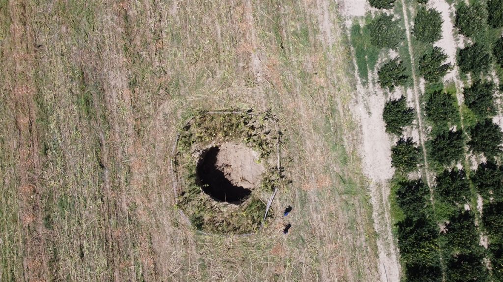 20200831 2 44131209 57799291 Web Denizli'de ay çekirdeği tarlasında obruk oluştu