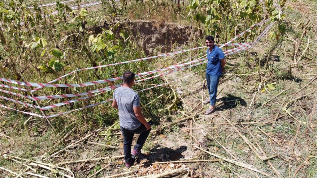 20200831 2 44131209 57799292 Web Denizli'de ay çekirdeği tarlasında obruk oluştu