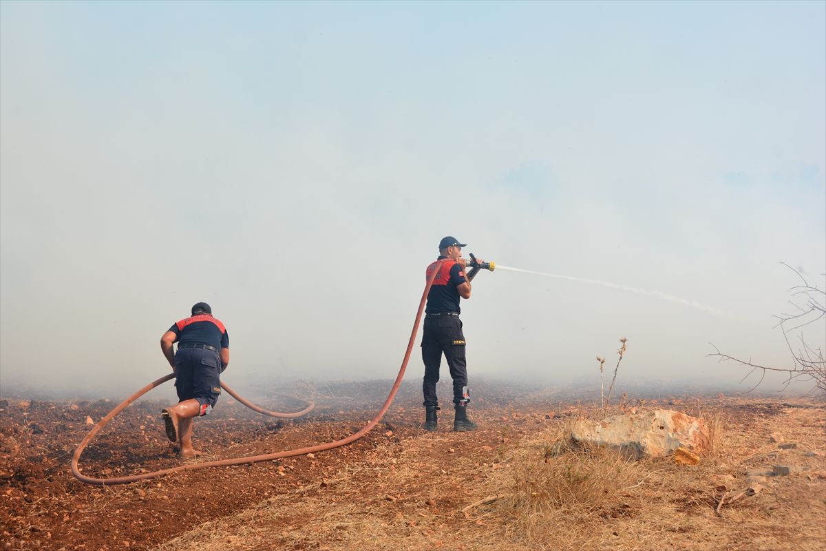 aydinda makilik alanda cikan yangin sonduruldu 2 IZ3ZUOZN Aydın'da makilik alanda çıkan yangın söndürüldü