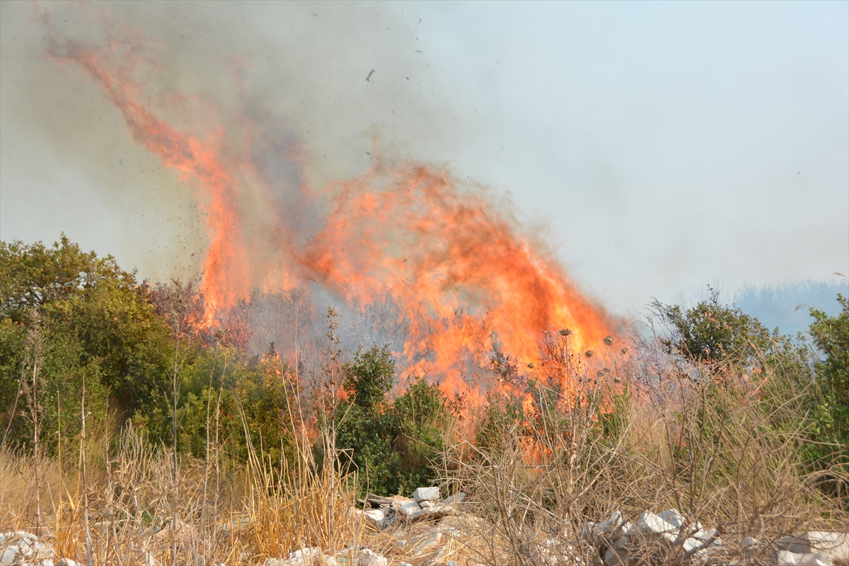 aydinda makilik alanda cikan yangin sonduruldu 3 gBIaVcYG Aydın'da makilik alanda çıkan yangın söndürüldü