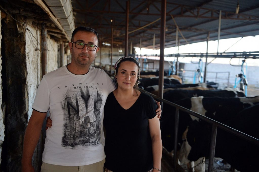 bir inekle basladigi hayvancilikta 5 yilda ciftlik sahibi oldu 3 QIw6LY4T Bir inekle başladığı hayvancılıkta 5 yılda çiftlik sahibi oldu