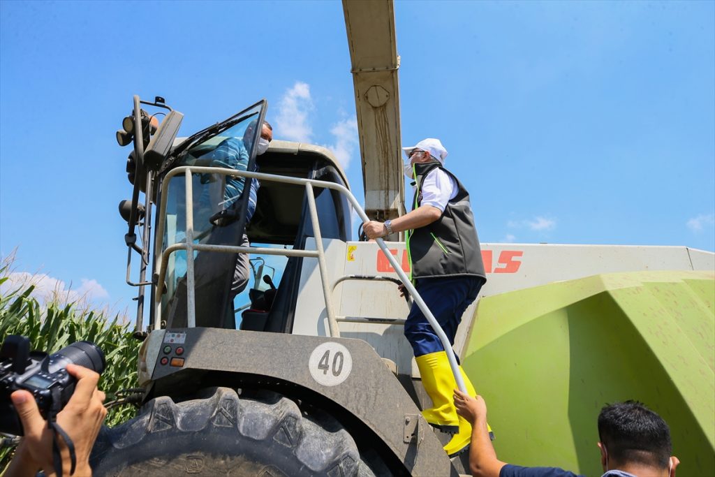 izmir valisi kosger misir hasadina katildi 1 ZXTcxG3h İzmir Valisi Köşger, mısır hasadına katıldı