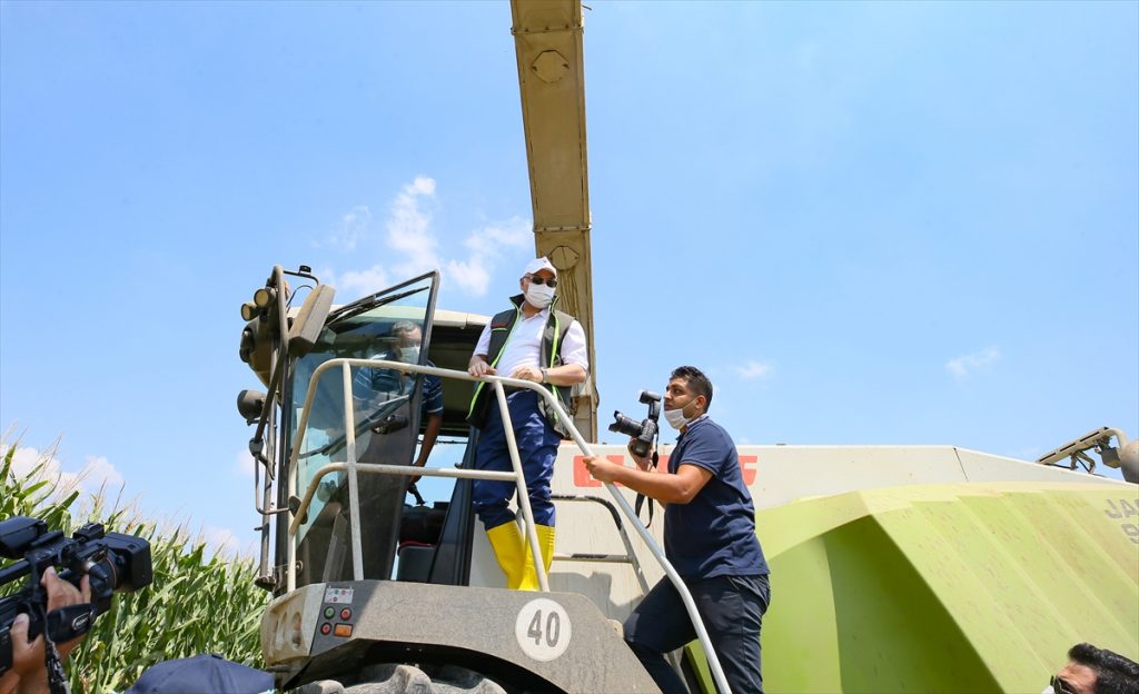 izmir valisi kosger misir hasadina katildi 2 h9iuksGs İzmir Valisi Köşger, mısır hasadına katıldı