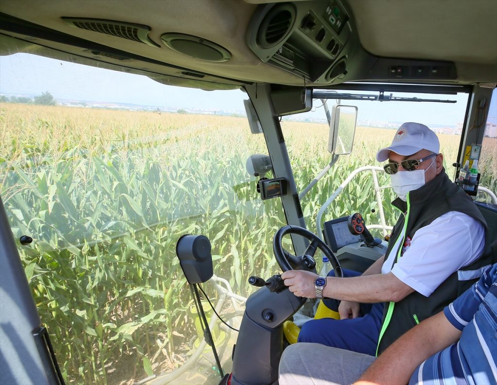 izmir valisi kosger misir hasadina katildi 3 tBE1qCmX İzmir Valisi Köşger, mısır hasadına katıldı