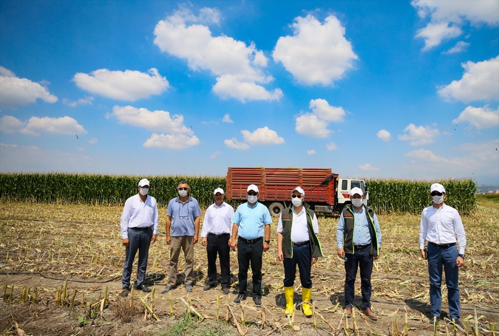 izmir valisi kosger misir hasadina katildi 8 cNnTShlN İzmir Valisi Köşger, mısır hasadına katıldı