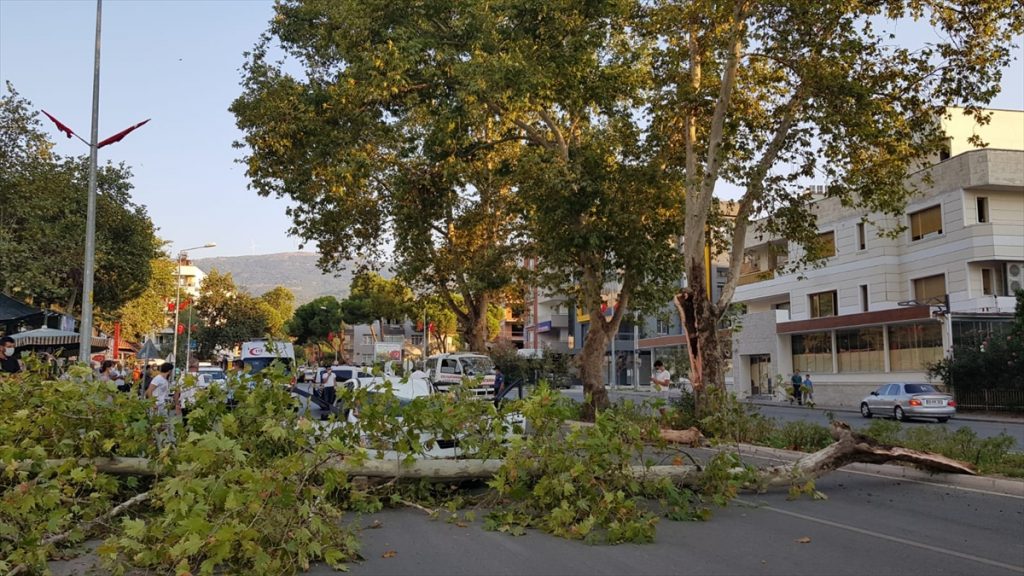 İzmir'de üstüne ağaç devrilen otomobilin sürücüsü yaralandı 1 izmirde ustune agac devrilen otomobilin surucusu yaralandi 2 İzmir'de üstüne ağaç devrilen otomobilin sürücüsü yaralandı