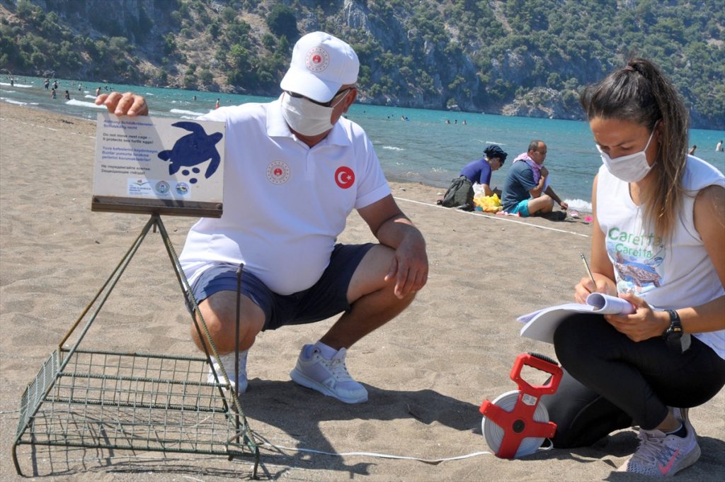 iztuzu plajinda 744 caretta caretta yuvasiyla rekor kirildi 2 9LZyeXp3 İztuzu Plajı'nda 744 caretta caretta yuvasıyla rekor kırıldı
