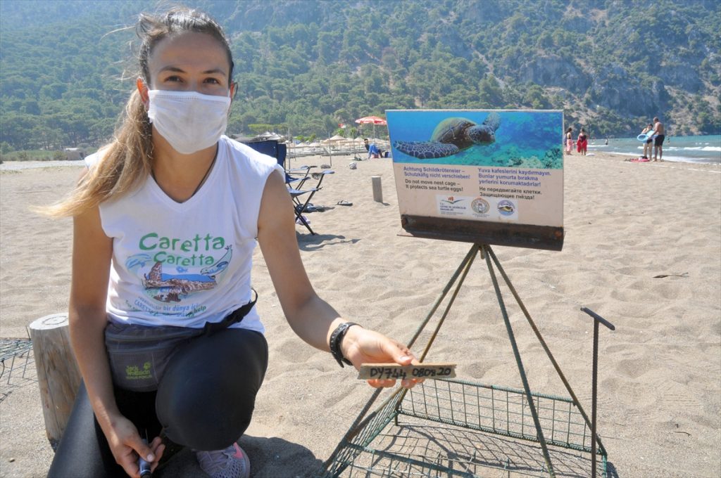 iztuzu plajinda 744 caretta caretta yuvasiyla rekor kirildi 6 JMHkABHQ İztuzu Plajı'nda 744 caretta caretta yuvasıyla rekor kırıldı