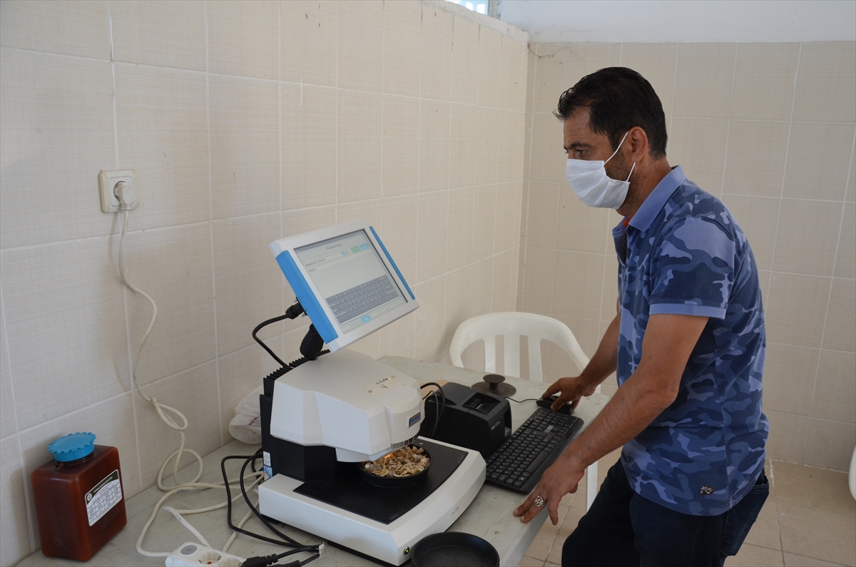 manisali hashas ureticisi fiyattan memnun 3 7HN26DPO Manisalı haşhaş üreticisi fiyattan memnun