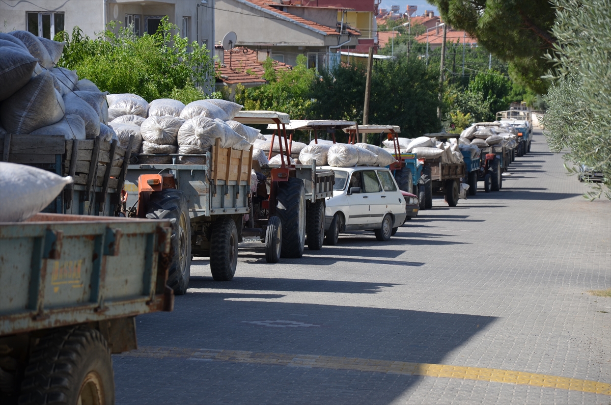 manisali hashas ureticisi fiyattan memnun 5 TWIZH1z9 Manisalı haşhaş üreticisi fiyattan memnun