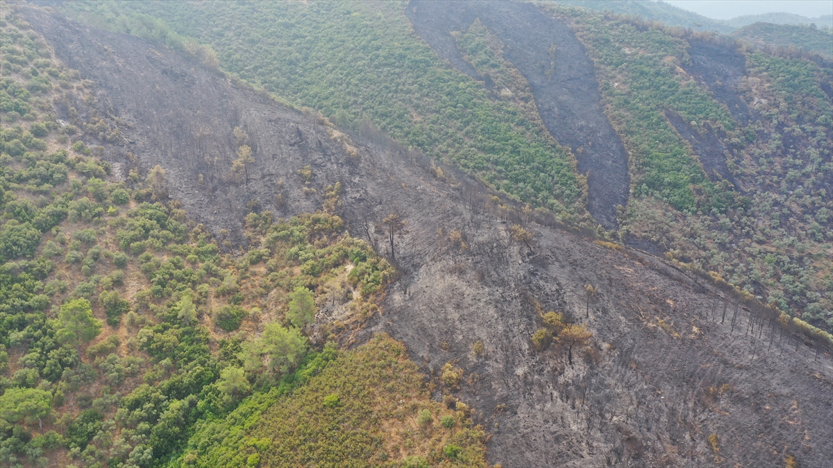 mugladaki orman yangini 17 saatte sonduruldu 7 AAVVX7FU Muğla'daki orman yangını 17 saatte söndürüldü