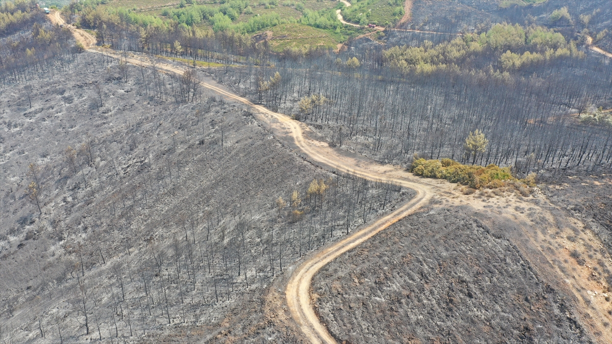 mugladaki orman yangini 17 saatte sonduruldu 9 ChnKuCU5 Muğla'daki orman yangını 17 saatte söndürüldü