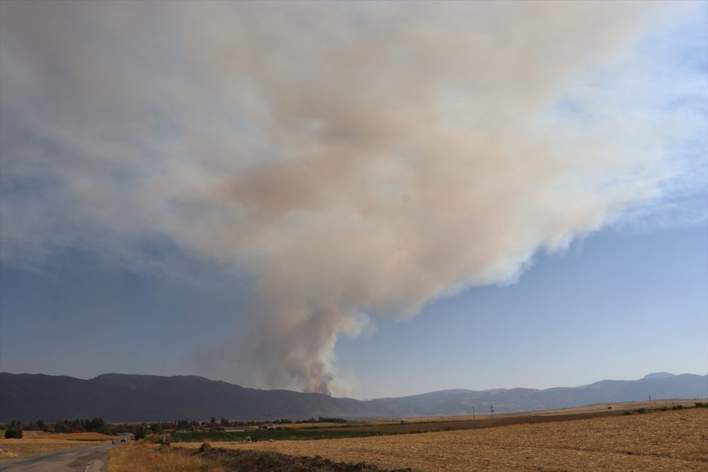 20200903 2 44183955 57879997 Web Denizli'de orman yangını