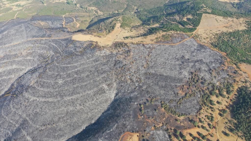 20200904 2 44199524 57903420 Web Uşak'ta yanan alanda orman dokusu yeniden oluşturulacak