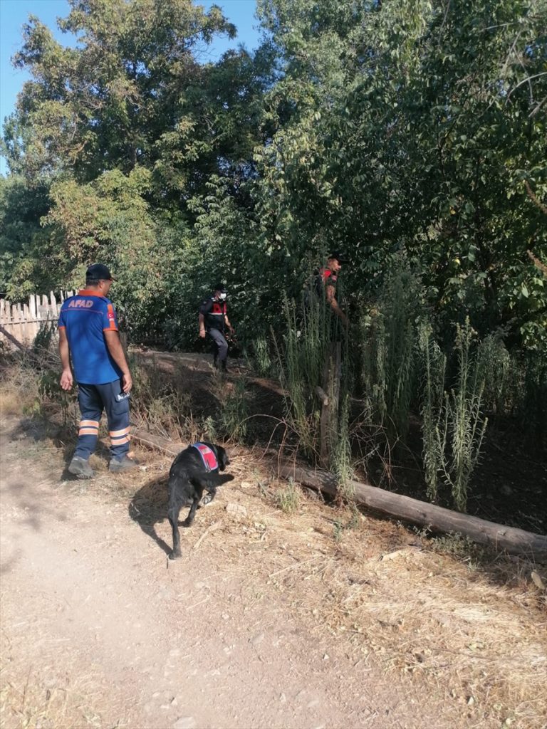 20200904 2 44200963 57905757 Web Muğla'da yürüyüşe çıktığı ormanda kaybolan kadın aranıyor