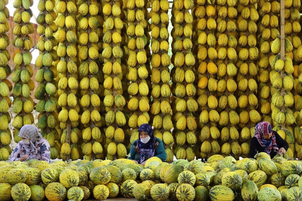 20200905 2 44209110 57917742 Web Kırkağaç'taki kavun üreticileri, dış pazara açılmak istiyor