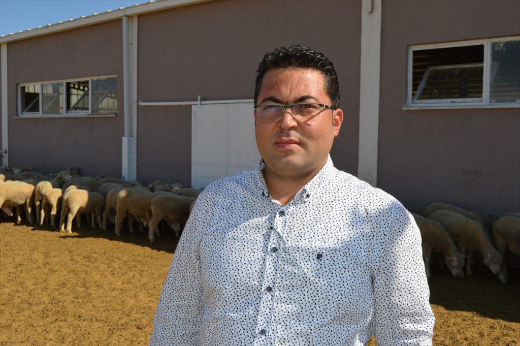 20200908 2 44246159 57973626 Web Üniversite özel sektör iş birliğiyle üretilen damızlık koyunlar yoğun talep görüyor