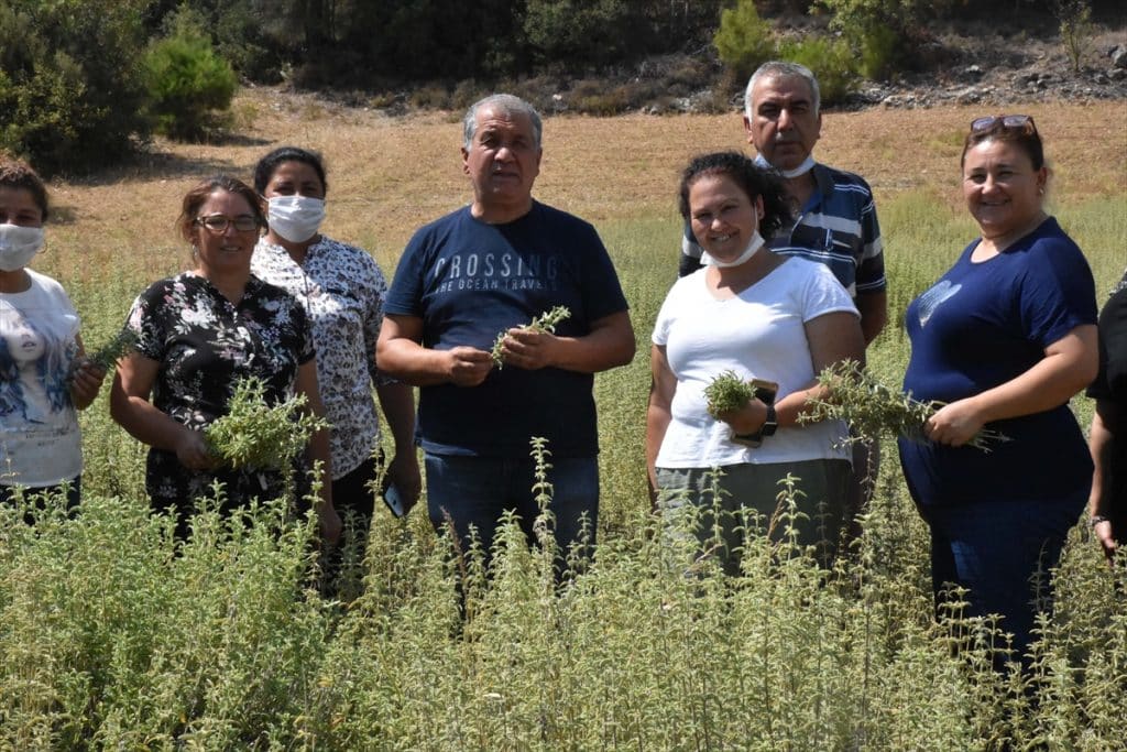 20200916 2 44373819 58164810 Web Yetiştirdikleri tıbbi aromatik bitkiler kadınlara kazanç oldu