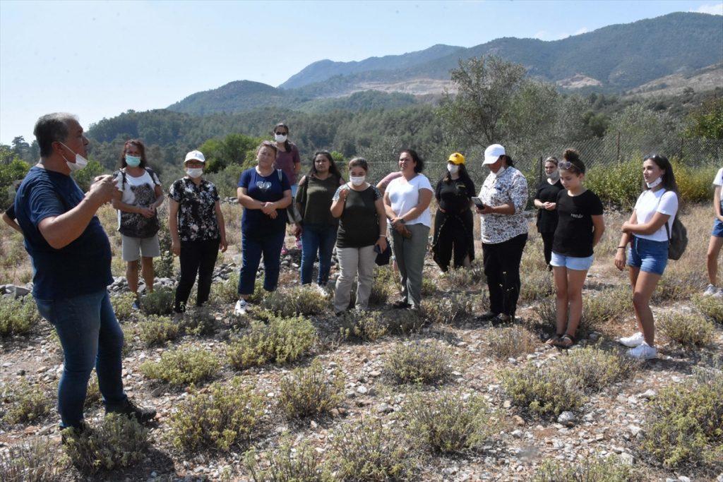 20200916 2 44373819 58164812 Web Yetiştirdikleri tıbbi aromatik bitkiler kadınlara kazanç oldu