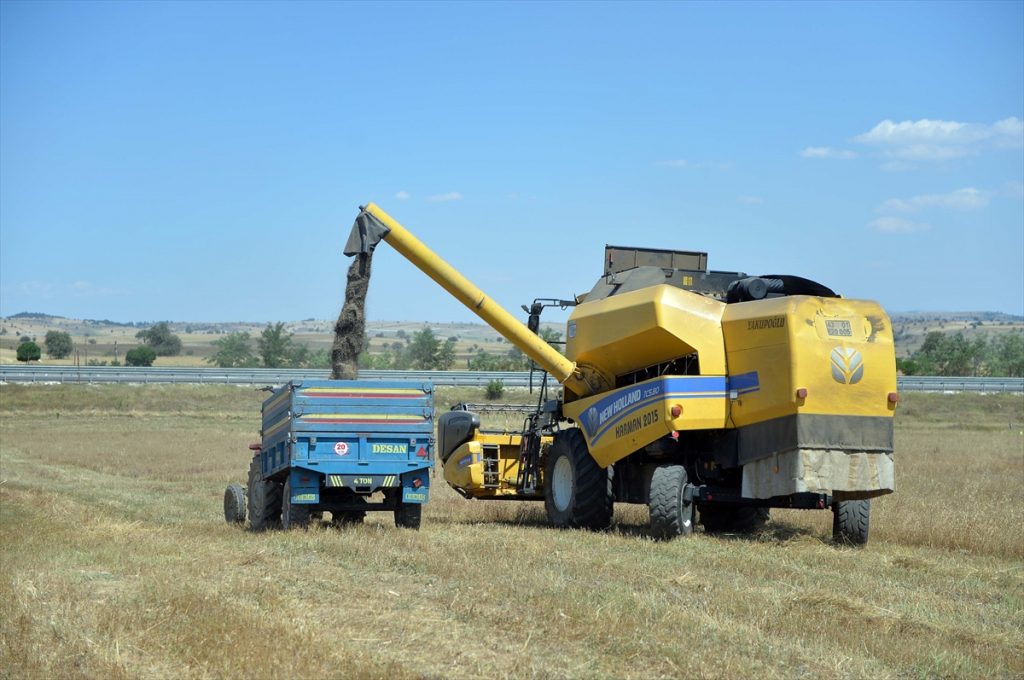 corekotu ihracati rekora kosuyor 5 1 Çörek otu ihracatı pandemi sürecinde rekora koşuyor