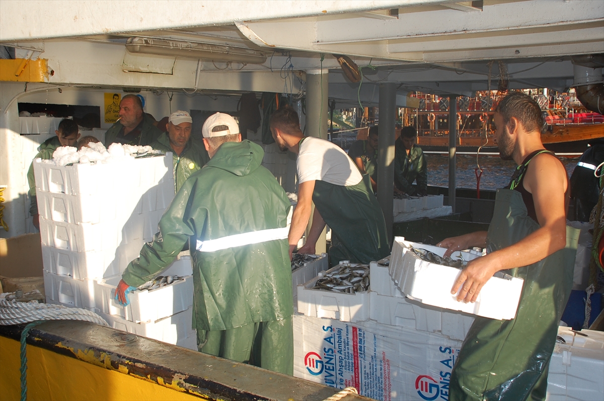 didim-de-balık-avı-hareketlenmesi (5)