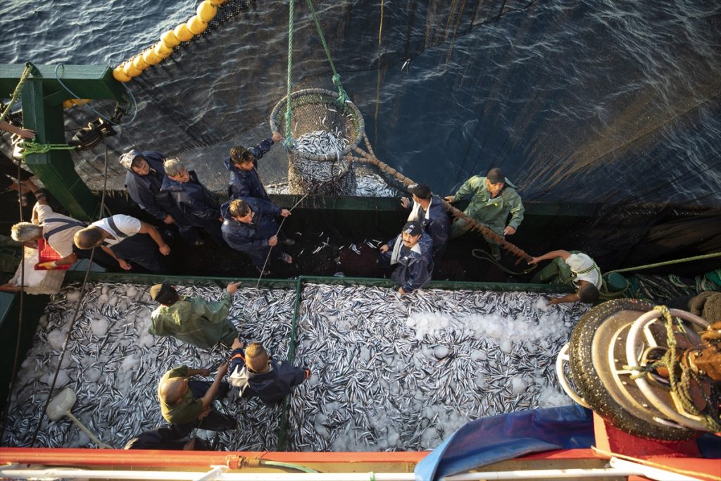 izmirli balikcilari ilk av gunu bereketli gecti 38 Egeli balıkçılar sezona bereketli başladı