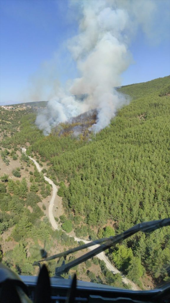 mugla da cikan dorduncu orman yangini kontrole alindi 4 Muğla'da çıkan dördüncü orman yangını da kontrol altına alındı