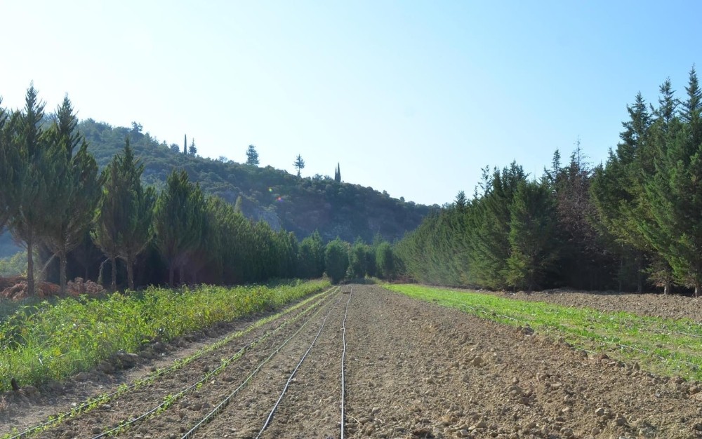 adabahcede kis hazirliklari basladi 3 HDMswhJq Adabahçe’de kış hazırlıkları başladı