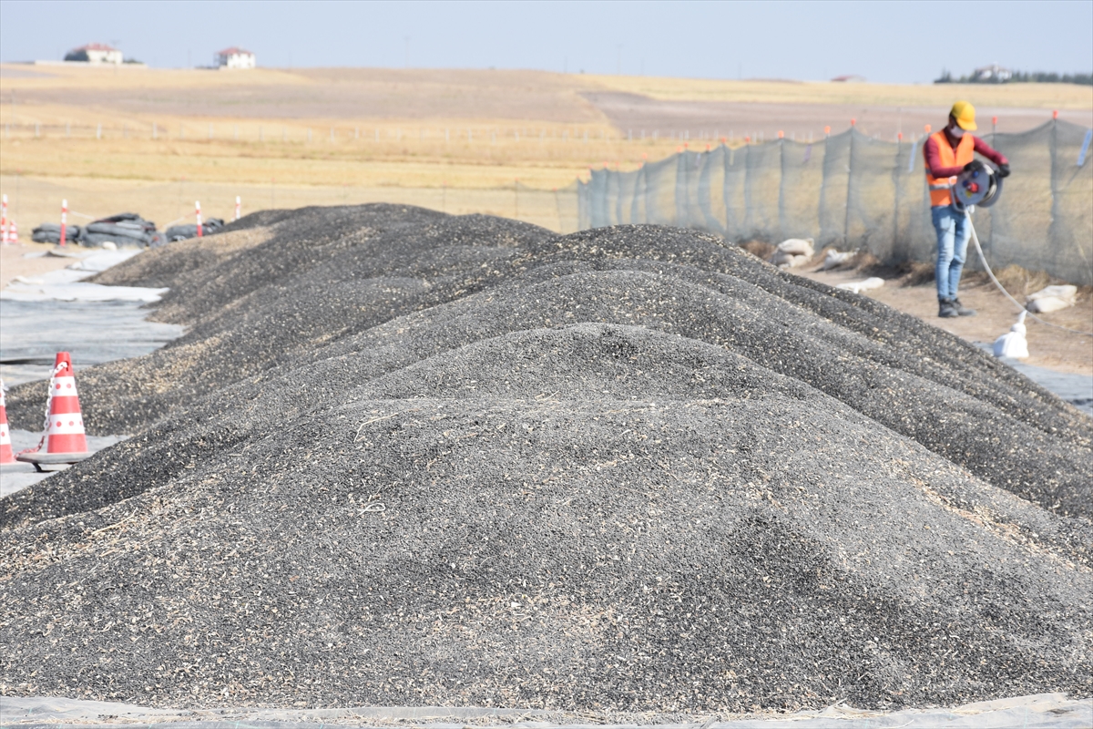 afyonkarahisarda uretilen aycicegi tohumu yurt disi pazarina da sunuluyor 1 ppUEzRX1 Afyonkarahisar'da üretilen ayçiçeği tohumu yurt dışı pazarına da sunuluyor