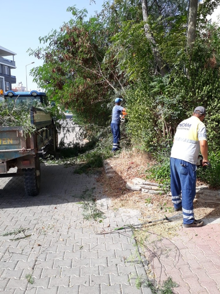 akbuk ve altinkumda park ve yesil alan temizligi yapildi 2 UOvN52sD Akbük ve Altınkum’da park ve yeşil alan temizliği yapıldı