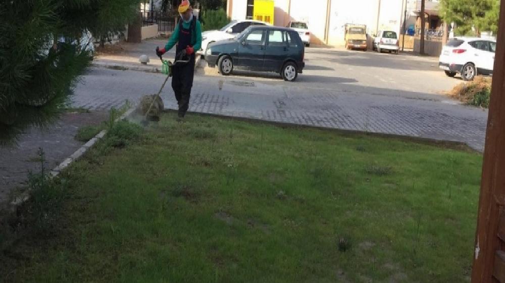 akbuk-ve-altinkumda-park-ve-yesil-alan-temizligi-yapildi-Jht8XasT.jpg
