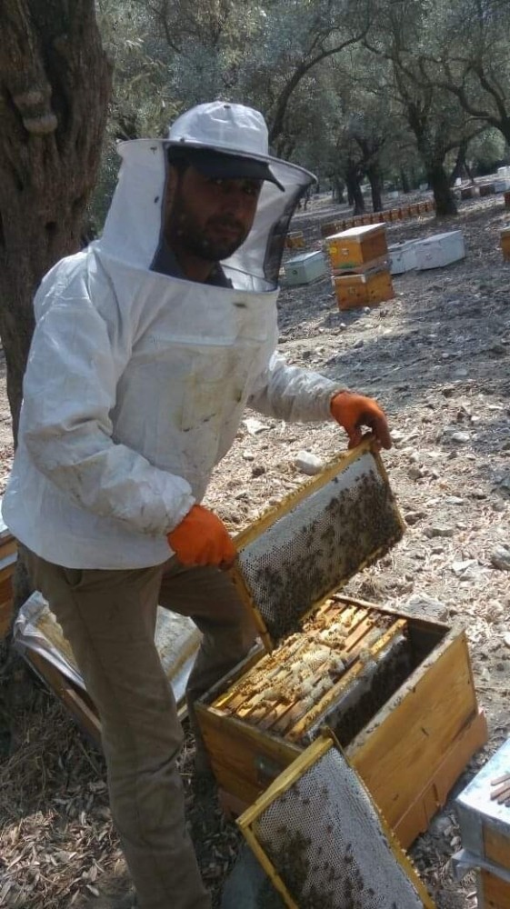 ayb baskani ozdemir aricilari uyardi 1 5BbpYA8a AYB Başkanı Özdemir, arıcıları uyardı