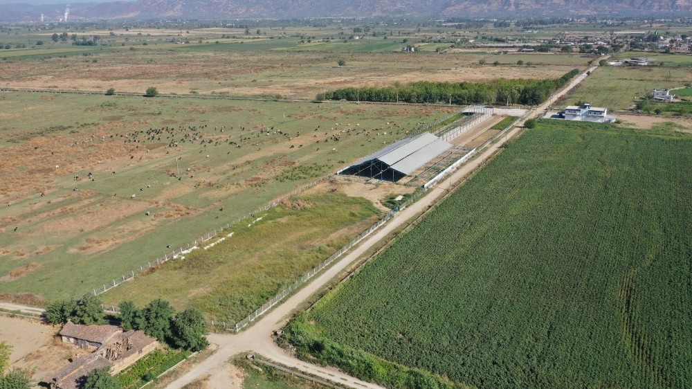 aydin buyuksehir belediyesinin ciftci merkezinde uretim devam ediyor 2 UVRHnPgf Aydın Büyükşehir Belediyesi’nin Çiftçi Merkezi’nde üretim devam ediyor