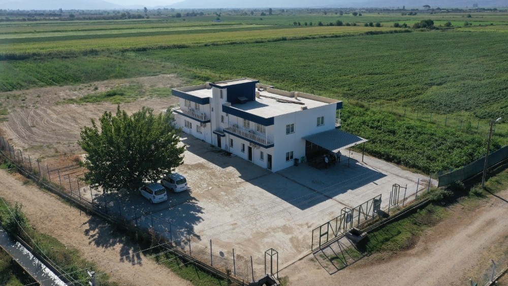 aydin buyuksehir belediyesinin ciftci merkezinde uretim devam ediyor 4 sVLGra8b Aydın Büyükşehir Belediyesi’nin Çiftçi Merkezi’nde üretim devam ediyor