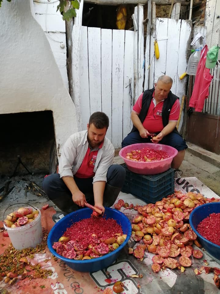 aydinda narlar sifa icin kaynatildi 2 uc25pIP2 Aydın’da narlar şifa için kaynatıldı