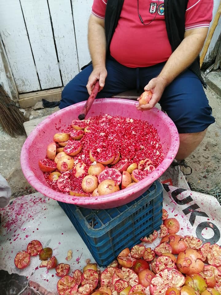 aydinda narlar sifa icin kaynatildi 4 55PCmMFv Aydın’da narlar şifa için kaynatıldı