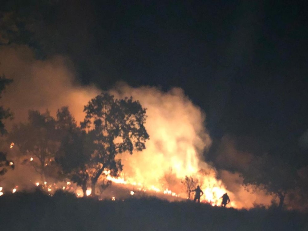 aydinda orman yangini 0 FCGr9z2y Aydın’da orman yangını