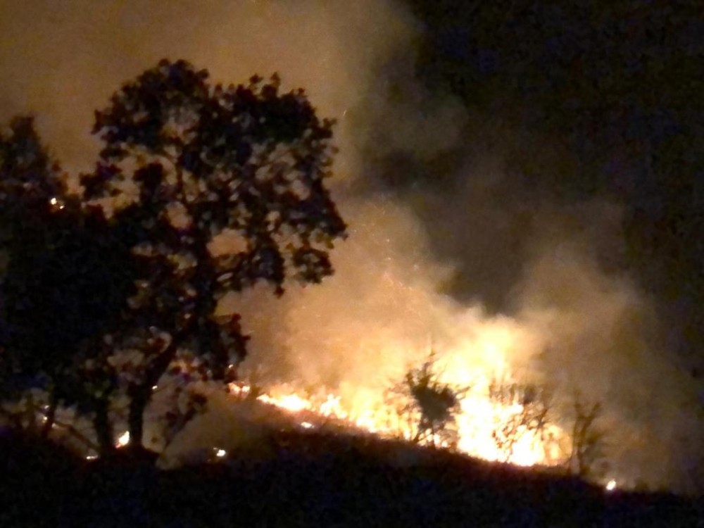 aydinda orman yangini 1 PeilCQ3G Aydın’da orman yangını