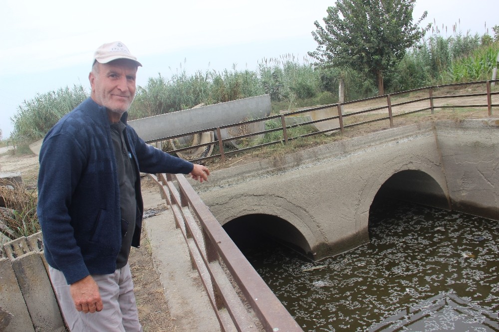 barajlardan gelen su kesilince baliklar telef oldu 0 rAKQ5y5C Barajlardan gelen su kesilince balıklar telef oldu