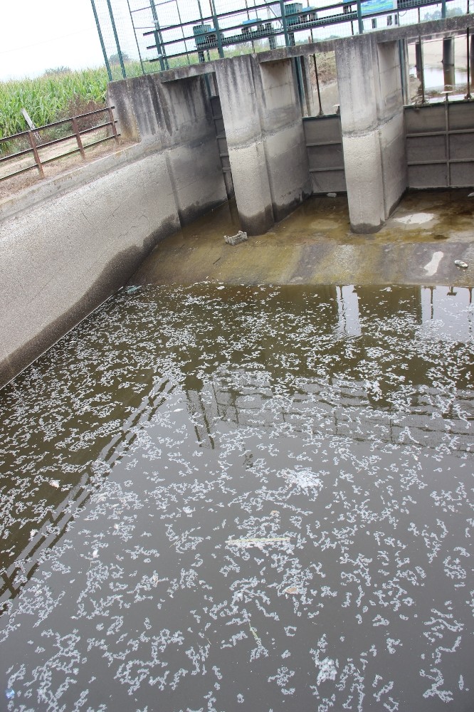 barajlardan gelen su kesilince baliklar telef oldu 3 tAvaTrqw Barajlardan gelen su kesilince balıklar telef oldu