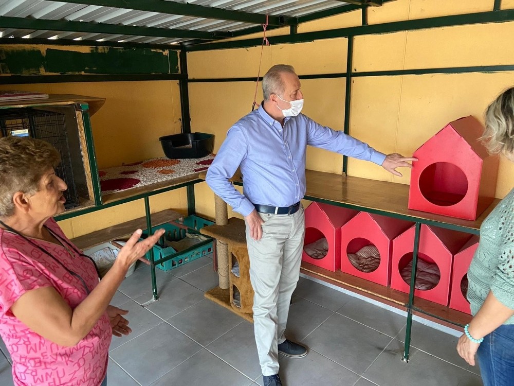 baskan atabaydan kedi evine ziyaret 0 OmDqL5ub Başkan Atabay’dan kedi evine ziyaret