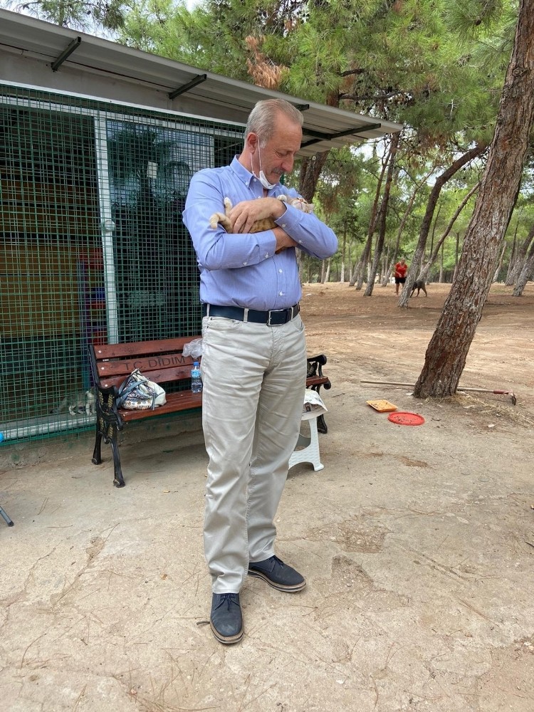 baskan atabaydan kedi evine ziyaret 1 qw9rJjqN Başkan Atabay’dan kedi evine ziyaret