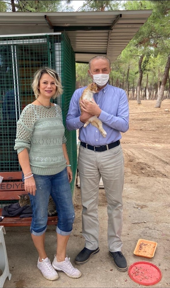 baskan atabaydan kedi evine ziyaret 3 tzHqiEE1 Başkan Atabay’dan kedi evine ziyaret