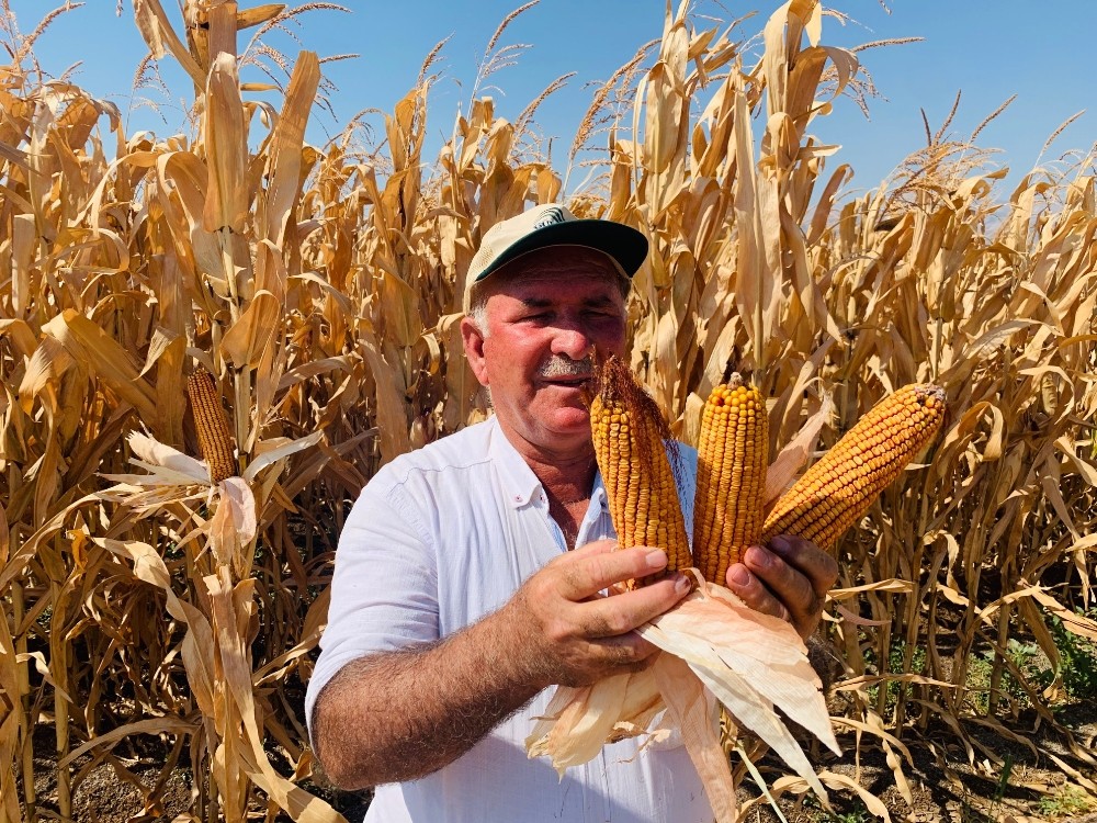 bilincli tarim faaliyetleri salginda da devam ediyor 1 eldU4uPu Bilinçli tarım faaliyetleri salgında da devam ediyor